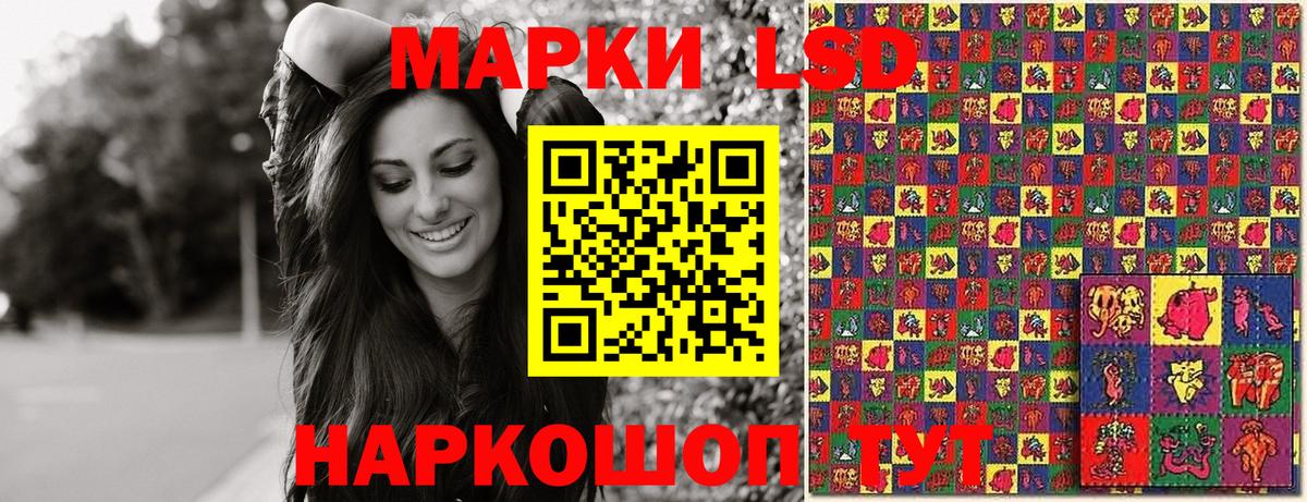 Выборг  Марки N-bome 1,5мг  Вход с VPN 